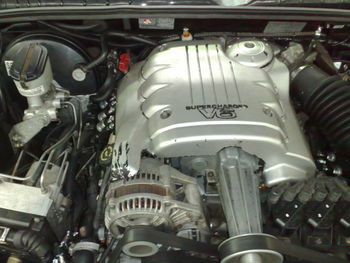 21082008245.jpg